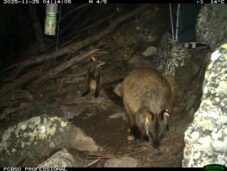 {{brizy_dc_image_alt entityId=