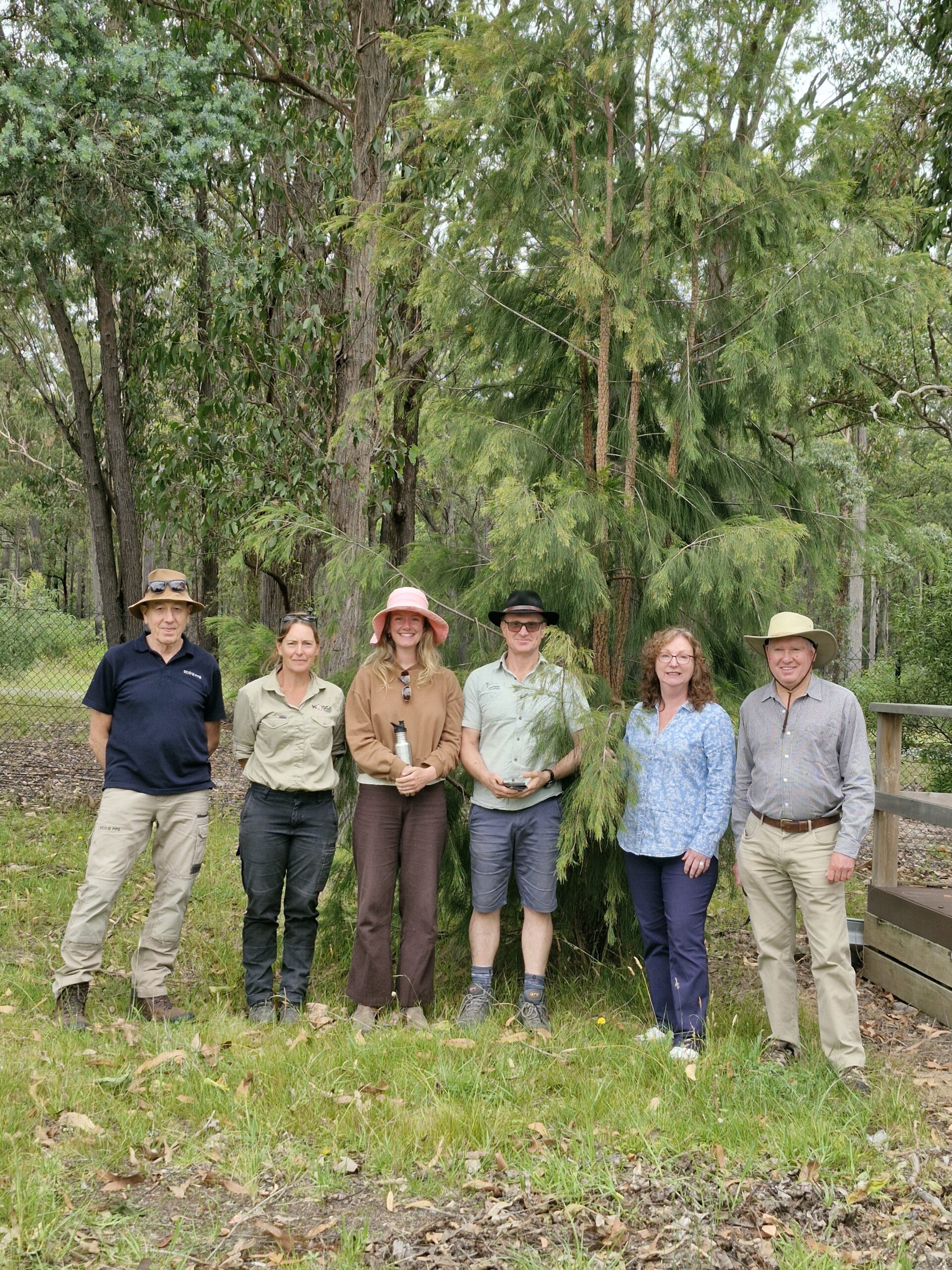 Helping Hands She-oak team