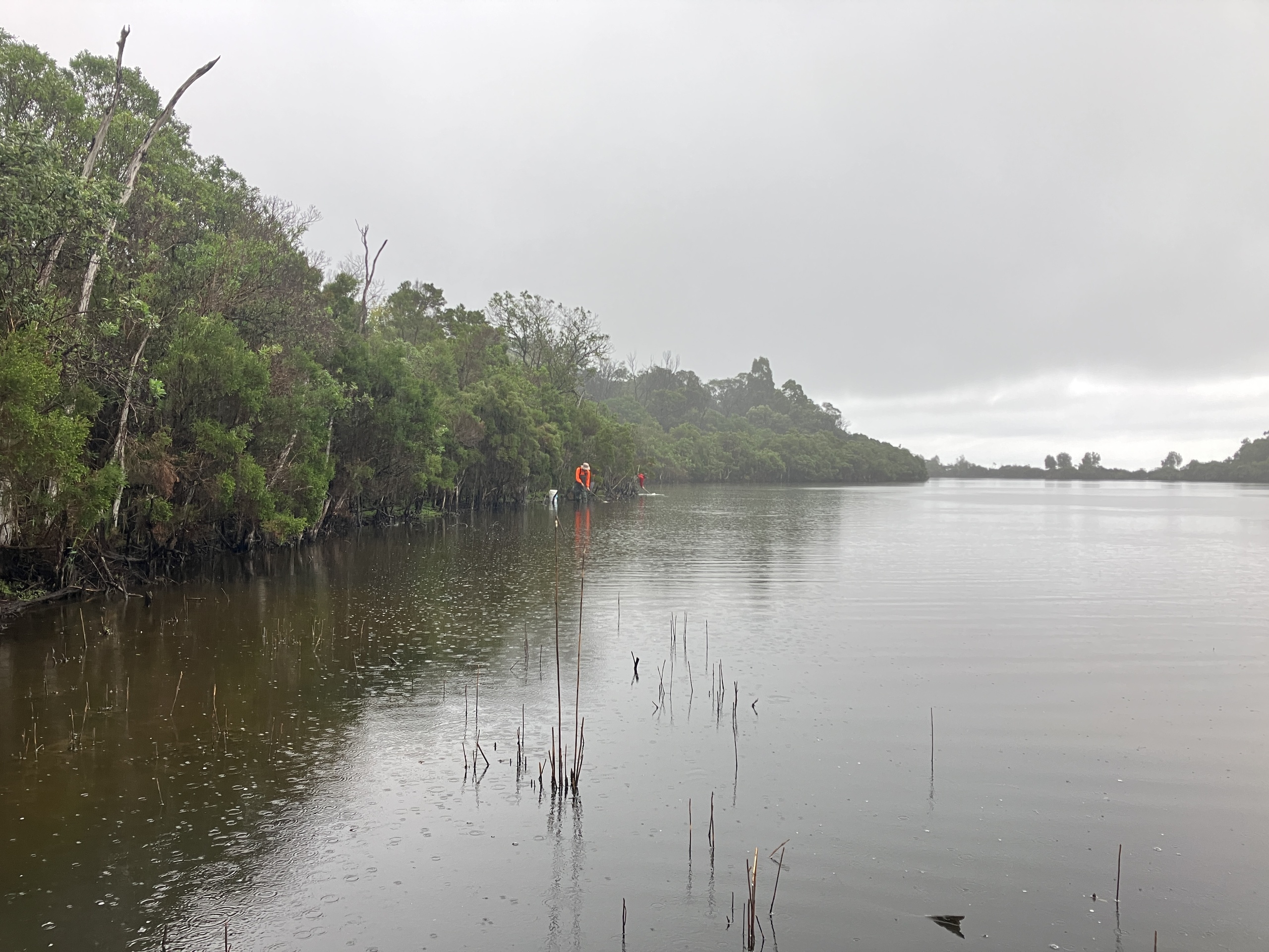 MistyMorning_InversSurvey