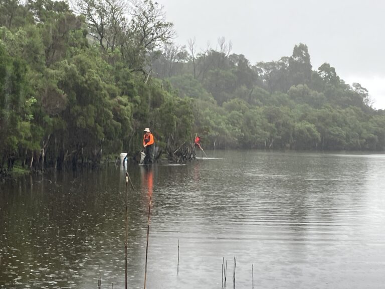 Sampling for waterbugs at Tambo Bluff lagoons