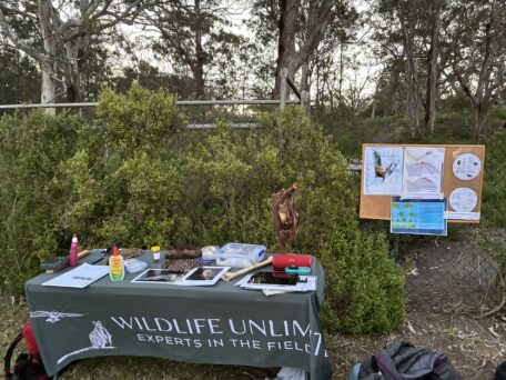 20 years of landcare 1
