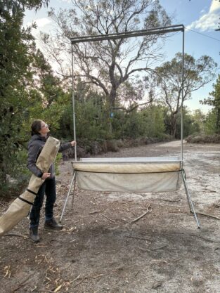 Camp Mallana 1