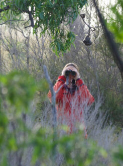 EcoGipps birding