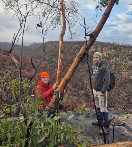 {{brizy_dc_image_alt imageSrc=