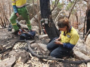 {{brizy_dc_image_alt entityId=