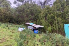 FieldLaboratory_TamboBluff