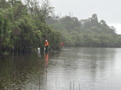 Sampling for waterbugs at Tambo Bluff lagoons