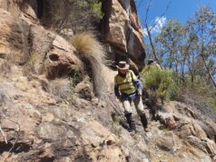 {{brizy_dc_image_alt entityId=