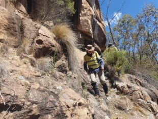 {{brizy_dc_image_alt entityId=