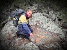 {{brizy_dc_image_alt entityId=