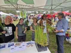 {{brizy_dc_image_alt entityId=