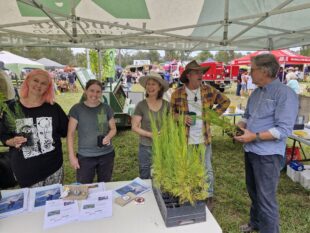 {{brizy_dc_image_alt entityId=